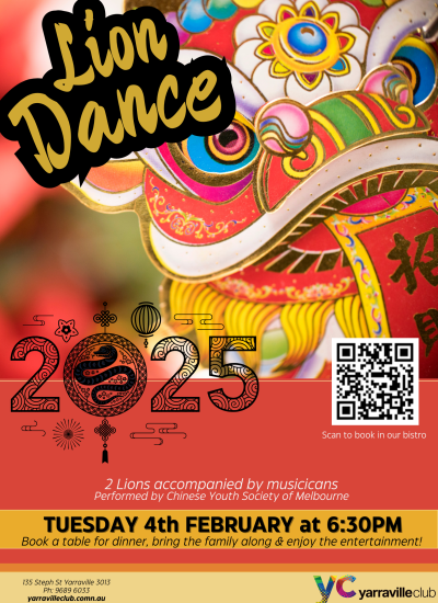 2025 lion dance poster